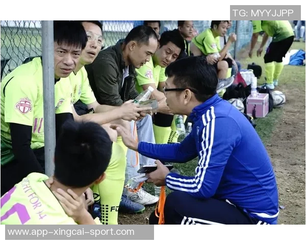 足球公猫的奇妙冒险与球场上的友谊故事